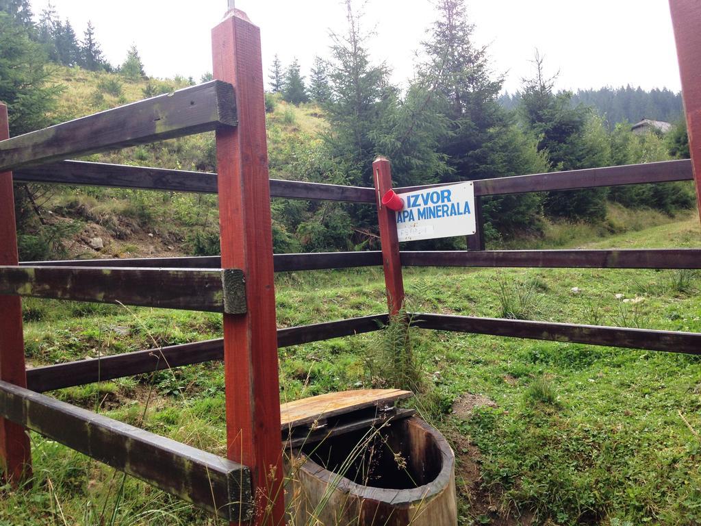 Pensiunea Gentiana Dornavátra Kültér fotó